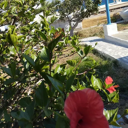Porto Galini Tinos Tzados 107 Holiday home